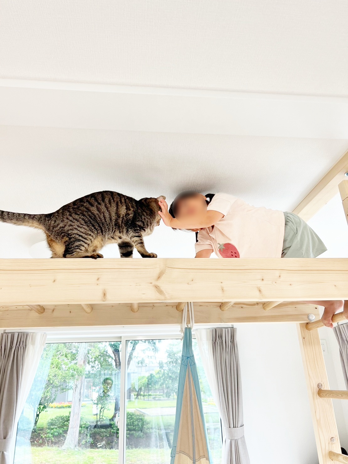 うんていやぐら(室内雲梯)に猫と子供が登って遊んでいる様子